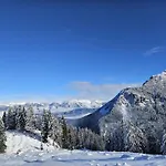 Spitzegel