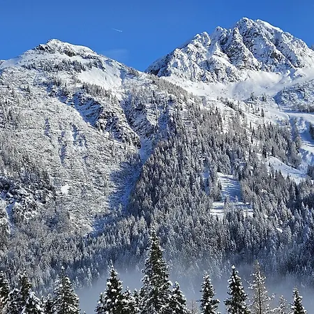 Spitzegel 아파트 헤르마고