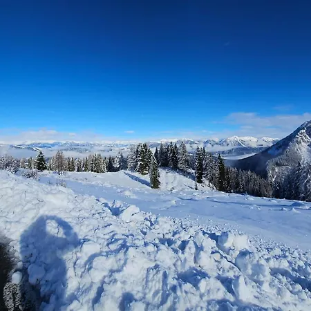 Spitzegel アパート *