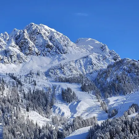 아파트 Spitzegel *