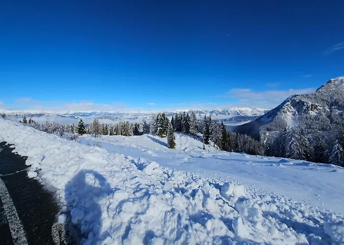 Spitzegel Apartamento *