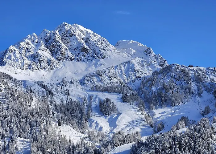 Apartamento Spitzegel *